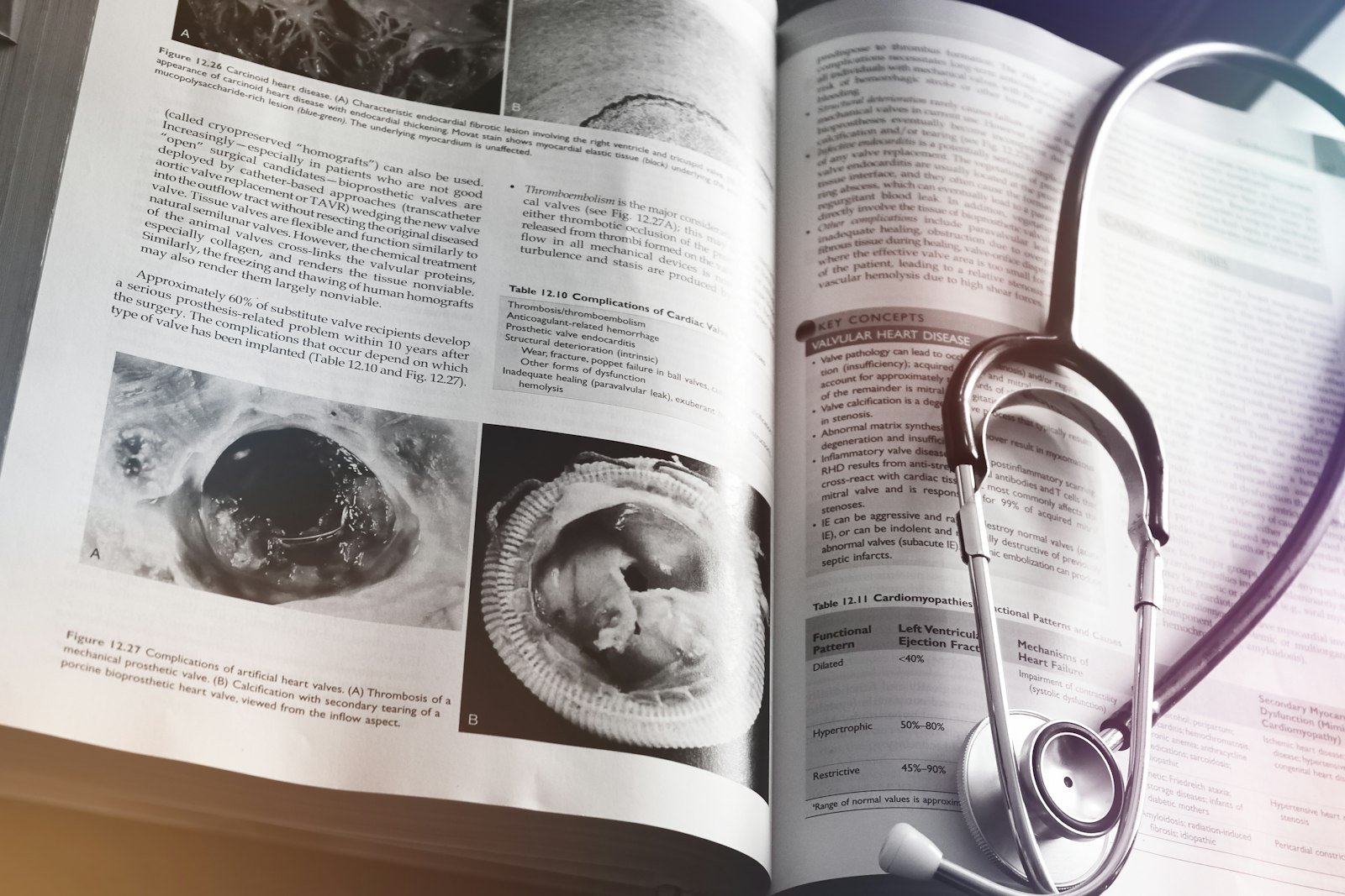 Jargões médicos em português: como avaliar modelos de linguagem